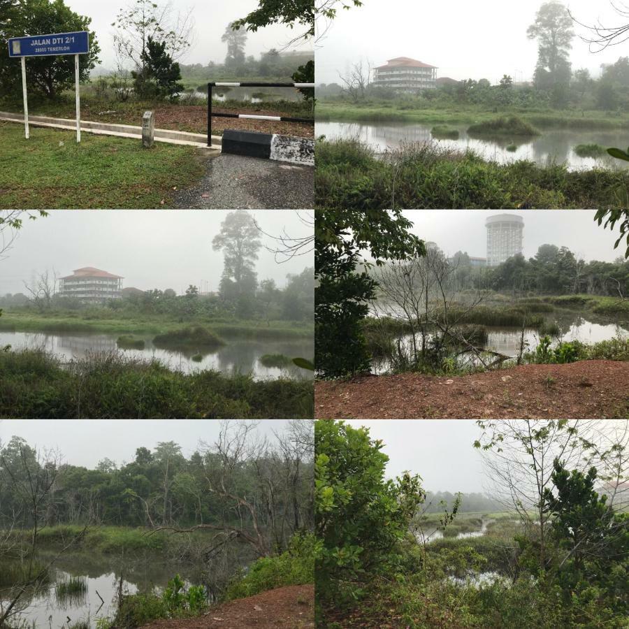 Patin Guest House @Desa Telok Ira, Temerloh Pahang Kampong Paya Kerinau Εξωτερικό φωτογραφία